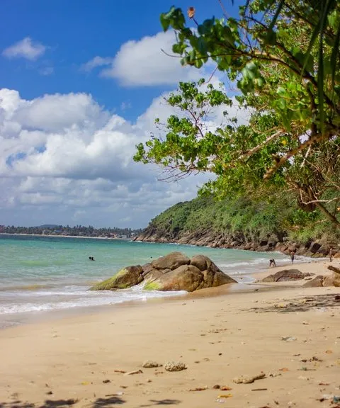 Colombo atmosphere and local life